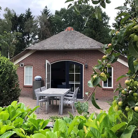 Holiday home Felix With Sauna In *